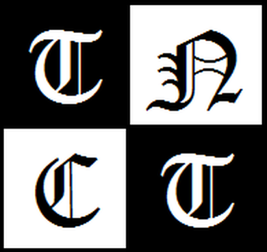 Trakya Nörolojik Cerrahi Logosu